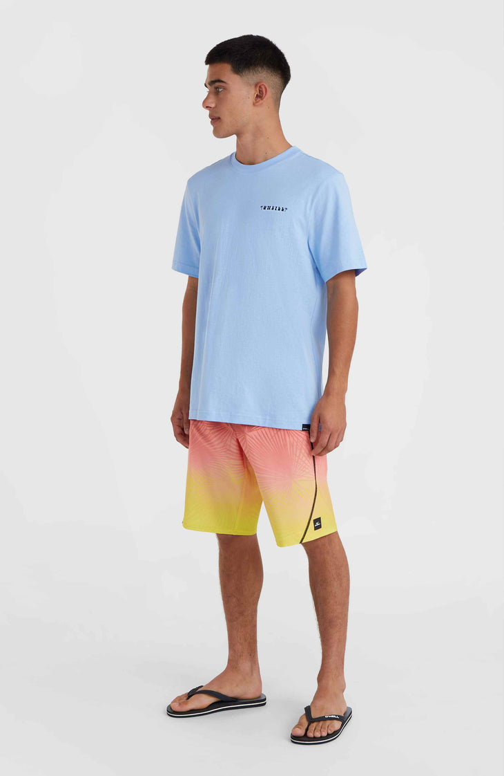 O'Neill Beach Graphic T-Shirt | Melody Blue