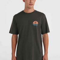 O'Neill Beach Graphic T-Shirt | Raven