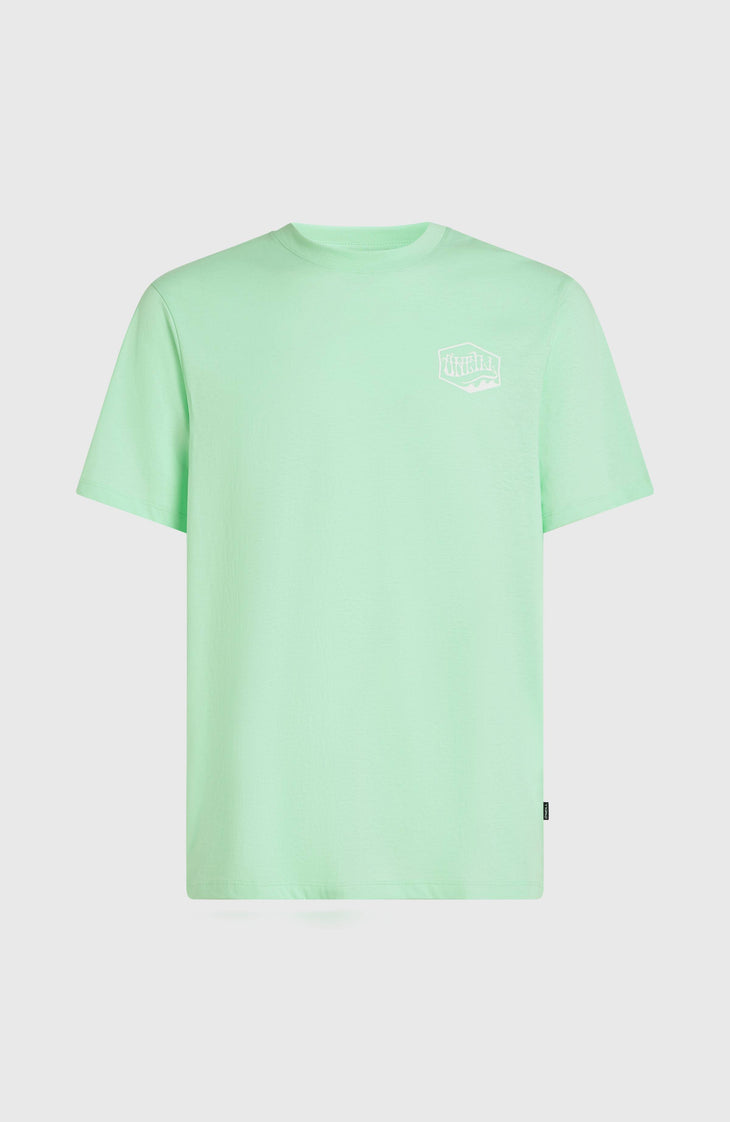Box Logo T-Shirt | Mildrew Mint