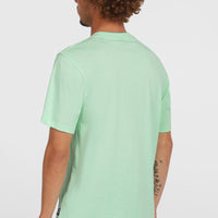 Stripe T-Shirt | Mildrew Mint