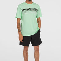 Stripe T-Shirt | Mildrew Mint