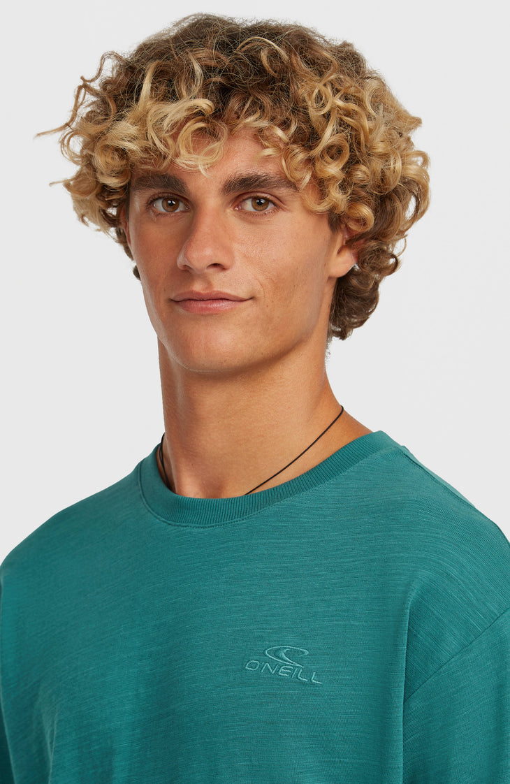 O'Neill Slub Long-Sleeve T-Shirt | Botanical Heat