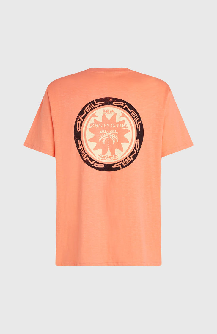 O’Neill Slub Back Print T-Shirt | Funky Peach