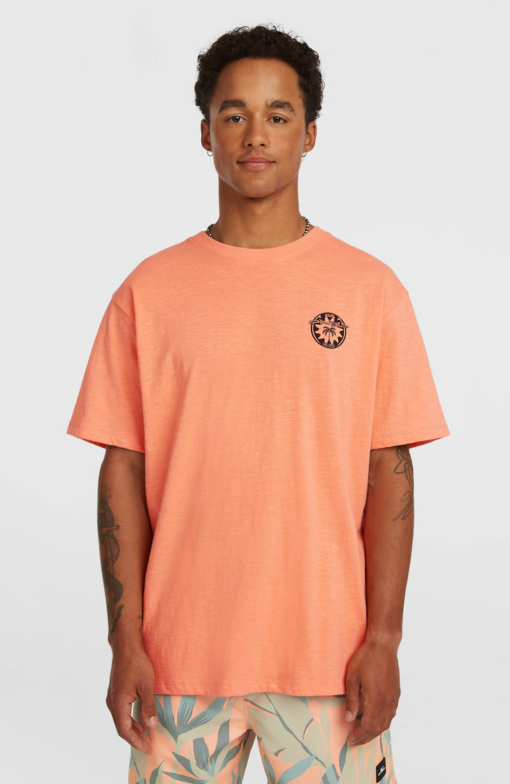 O’Neill Slub Back Print T-Shirt | Funky Peach