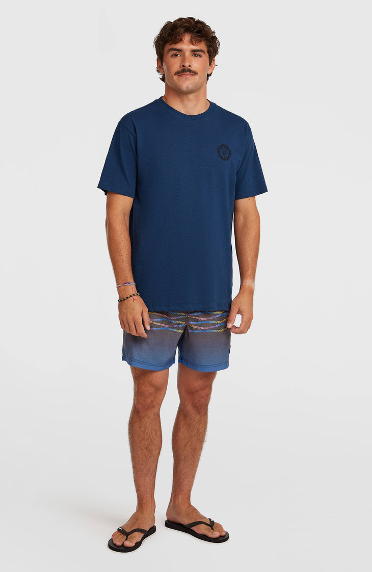 O’Neill Slub Back Print T-Shirt | English Evening