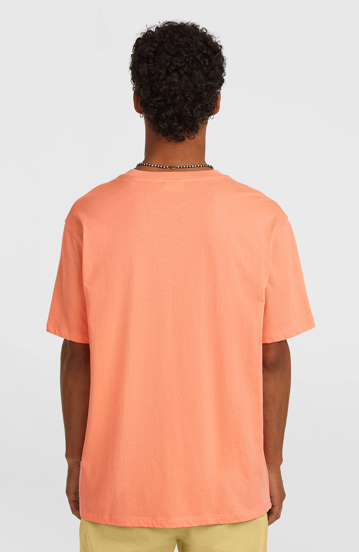O'Neill Must-Have Graphic T-Shirt | Funky Peach