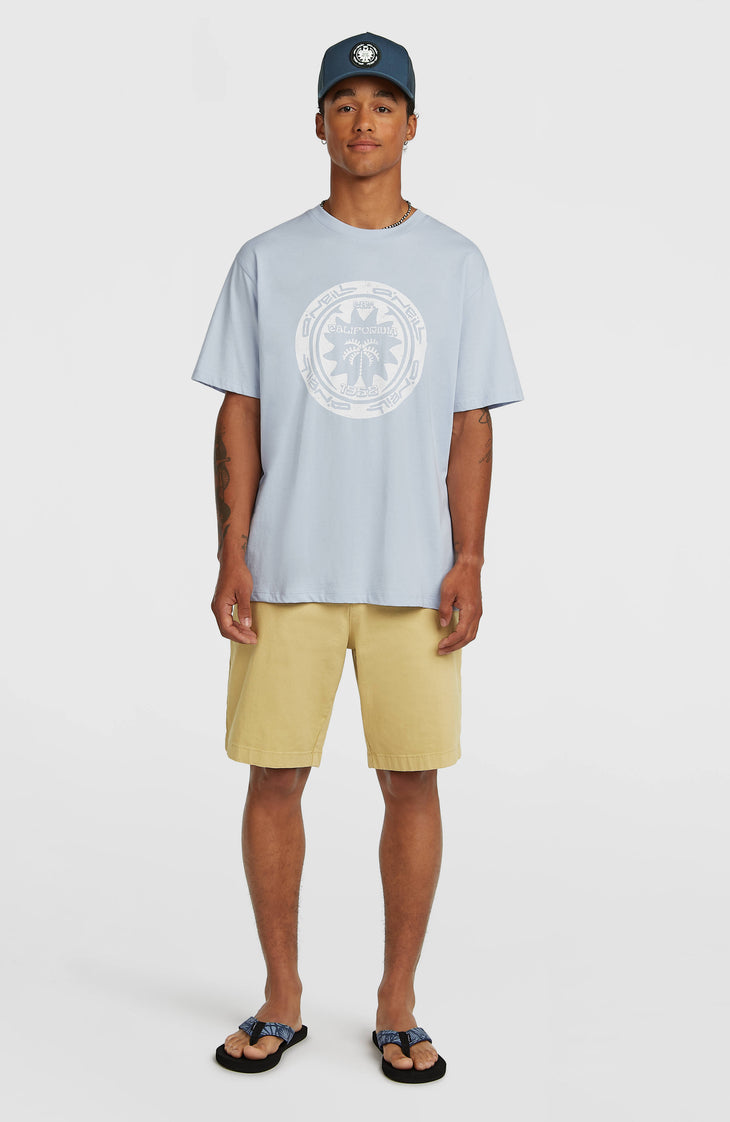 O'Neill Must-Have Graphic T-Shirt | Spindle