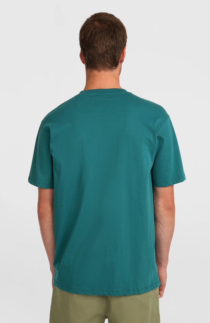 O'Neill Must-Have Graphic T-Shirt | Botanical Heat
