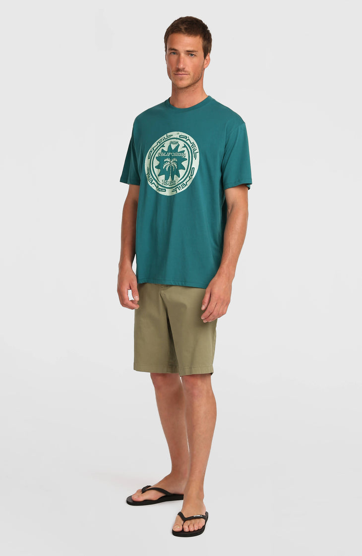 O'Neill Must-Have Graphic T-Shirt | Botanical Heat