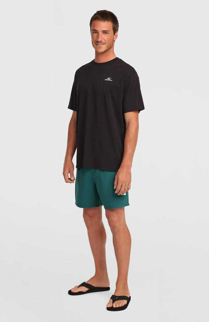 O'Neill Small Logo T-Shirt | Black Out