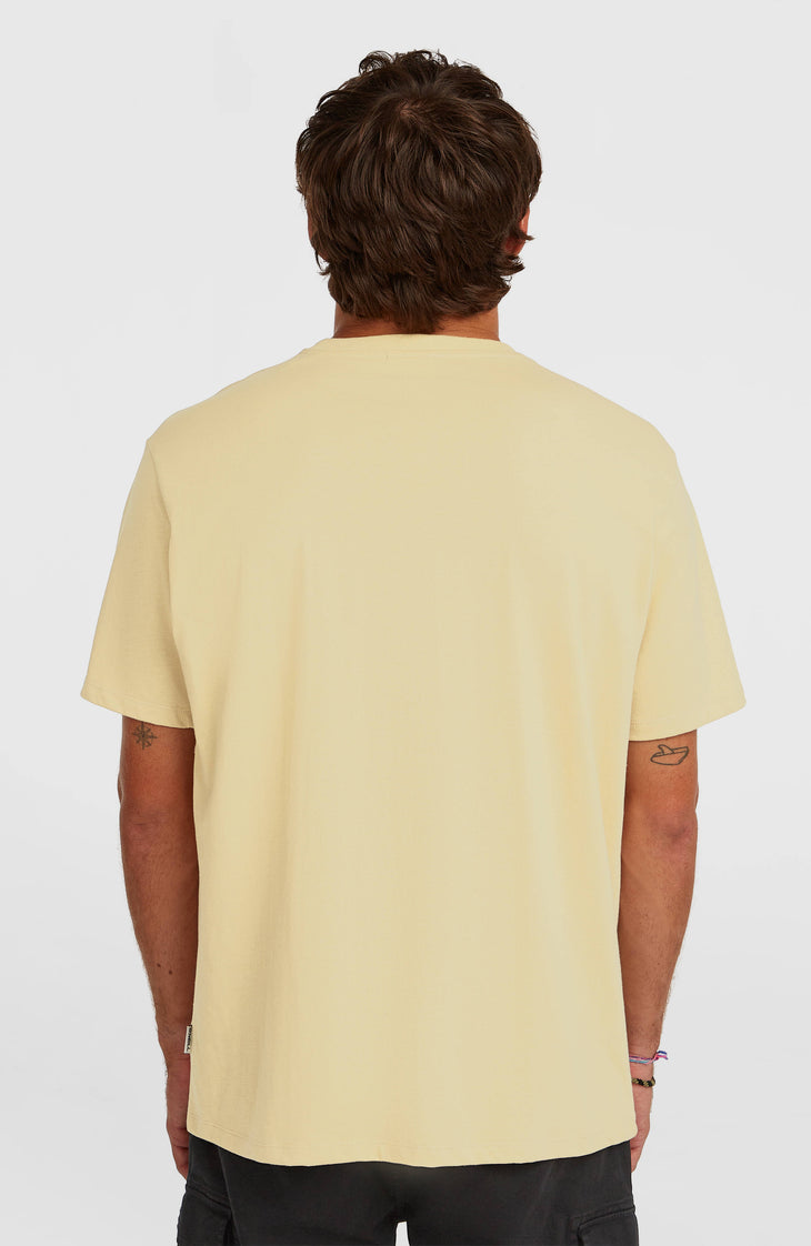 Melange Chest Print T-Shirt | Cocoa Sand