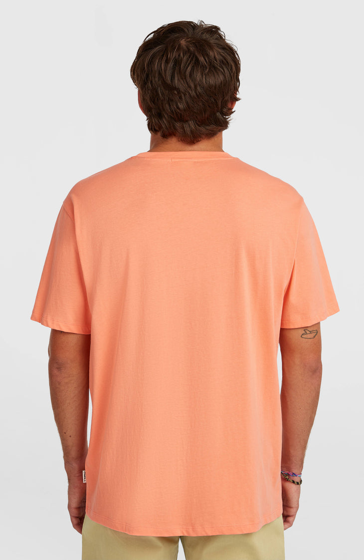 O'Neill Muir T-shirt | Funky Peach