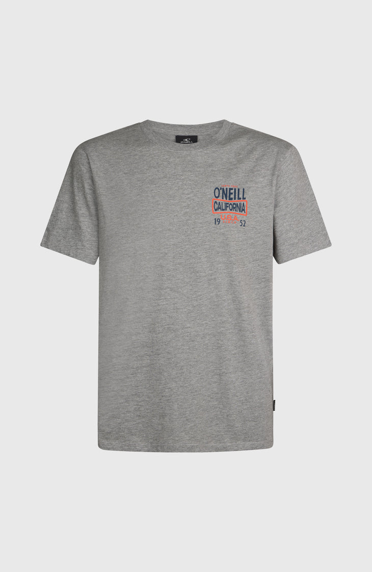 O'Neill Small Logo T-Shirt | Silver Melee