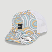 Flood Trucker Cap | Blue Rainbow Stripe