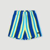 Brights Terry Shorts | Blue Towel Stripe