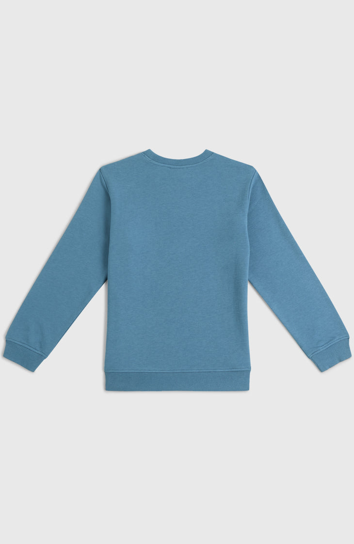 Essentials Crew Sweatshirt | Mozart Blue