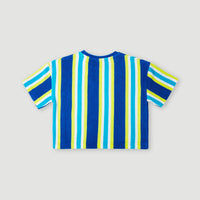 Brights Terry Shirt | Blue Towel Stripe