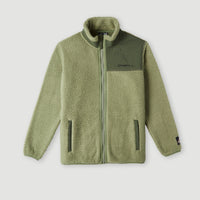 High-Pile Full-Zip Fleece | Deep Lichen Green