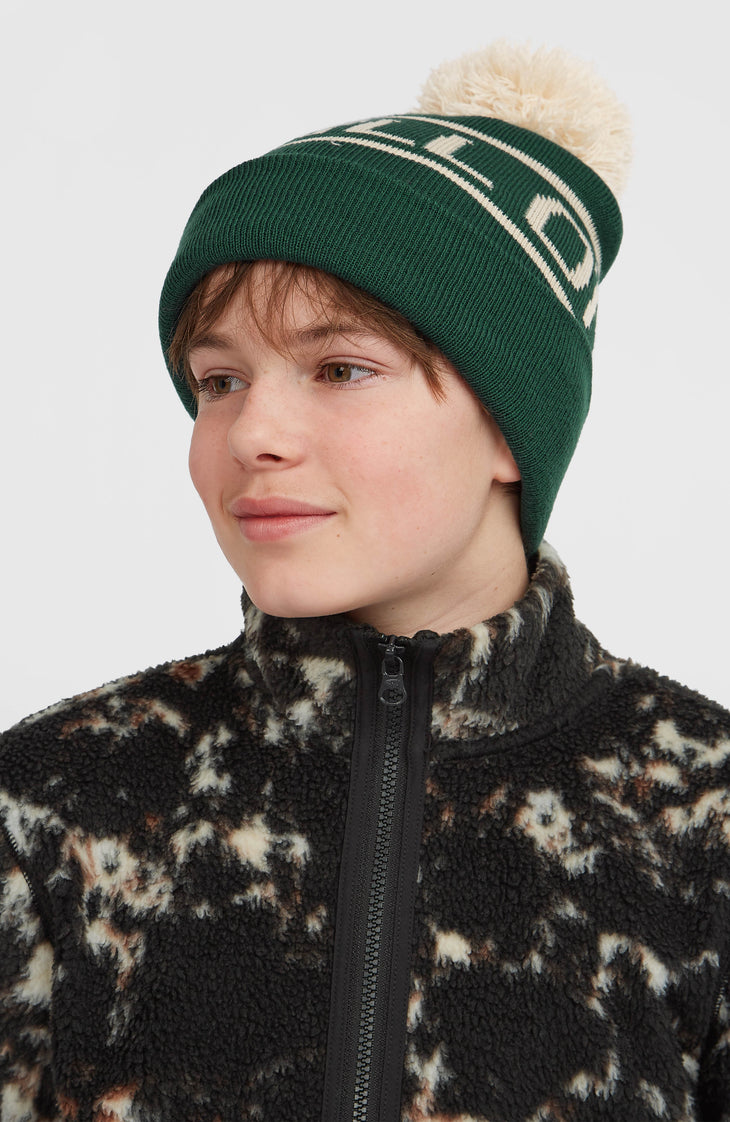 Powder Beanie | Emerald Envy Colour Block