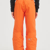 Anvil Snow Pants | Puffin's Bill