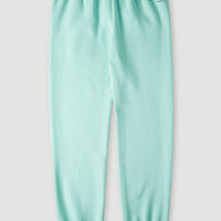 Future Surf Sweatpants | Beach Glass