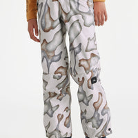 Hammer Printed Snow Pants | Hiker Camo