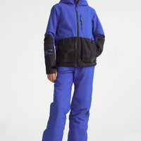 Hammer Snow Pants | Surf the web Blue