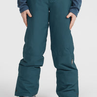 Hammer Snow Pants | Alma Steel