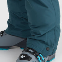 Hammer Snow Pants | Alma Steel