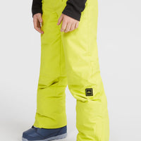 Hammer Snow Pants | Luca Lime