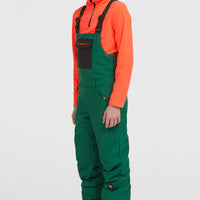 FWC'Cruz Bib Snow Pants | Emerald Envy Colour Block