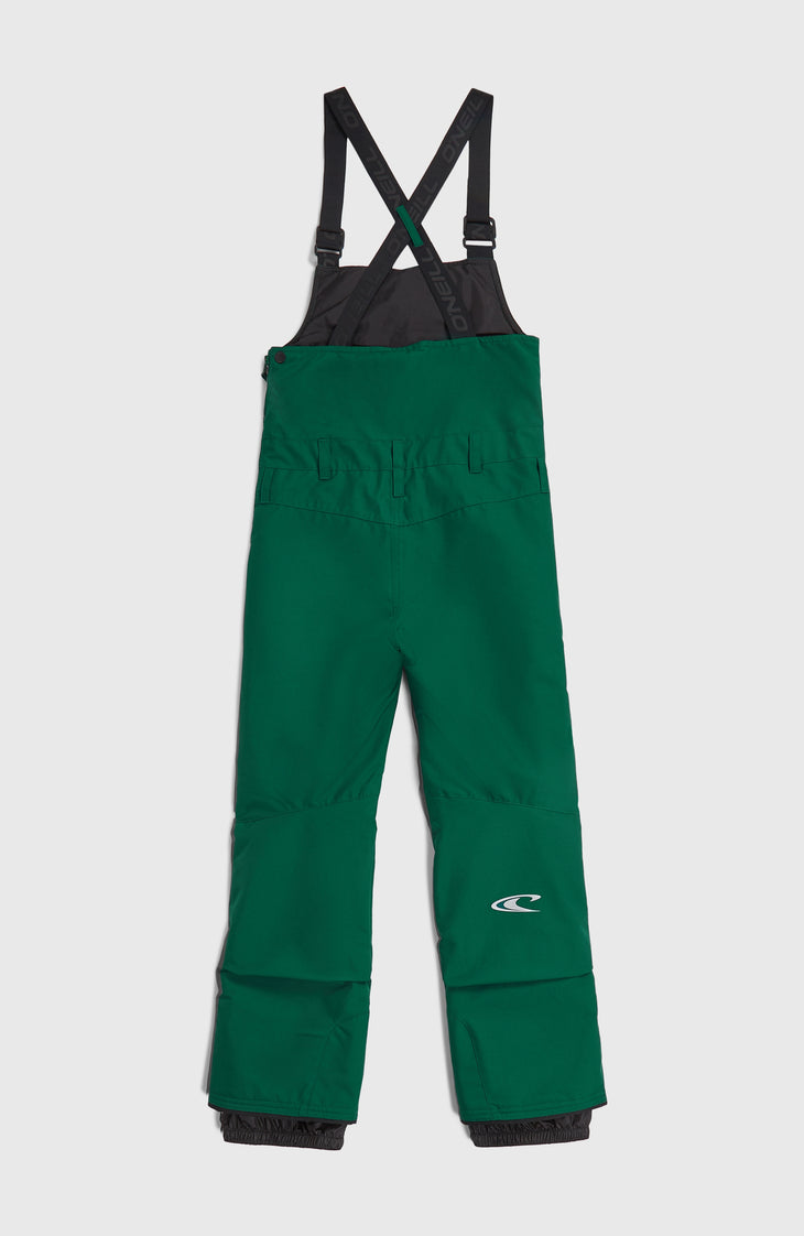 FWC'Cruz Bib Snow Pants | Emerald Envy Colour Block