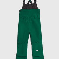 FWC'Cruz Bib Snow Pants | Emerald Envy Colour Block