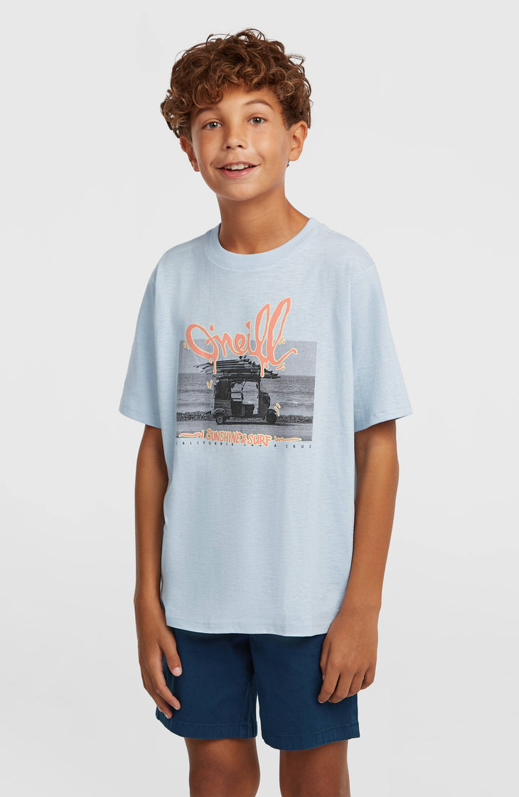 Chino Shorts | English Evening