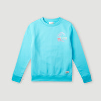 Circle Surfer Crew Sweatshirt | Bachelor Button