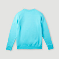 Circle Surfer Crew Sweatshirt | Bachelor Button