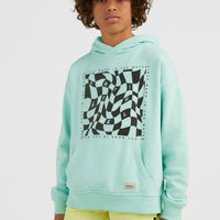 Checker Hoodie | Beach Glass