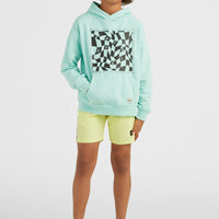 Checker Hoodie | Beach Glass