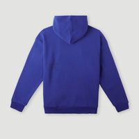 Future Surf Society Hoodie | Surf the web Blue