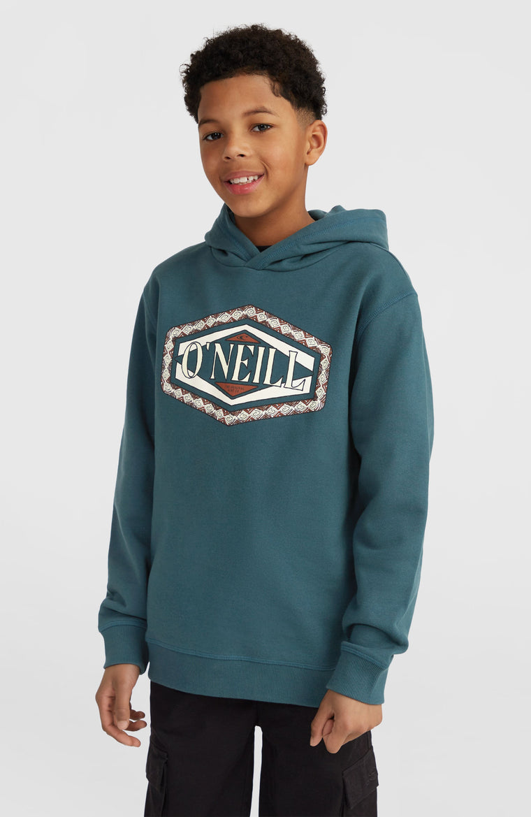 Boys in hoodies best sale