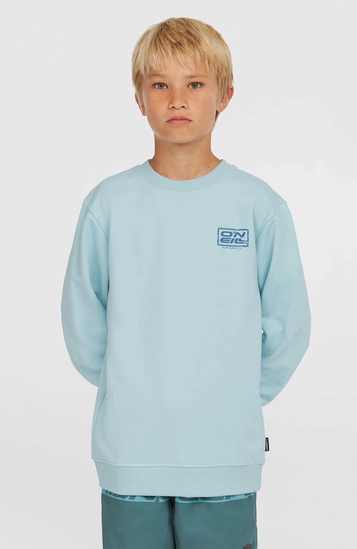 Logo Crew Sweatshirt | Morning Glory