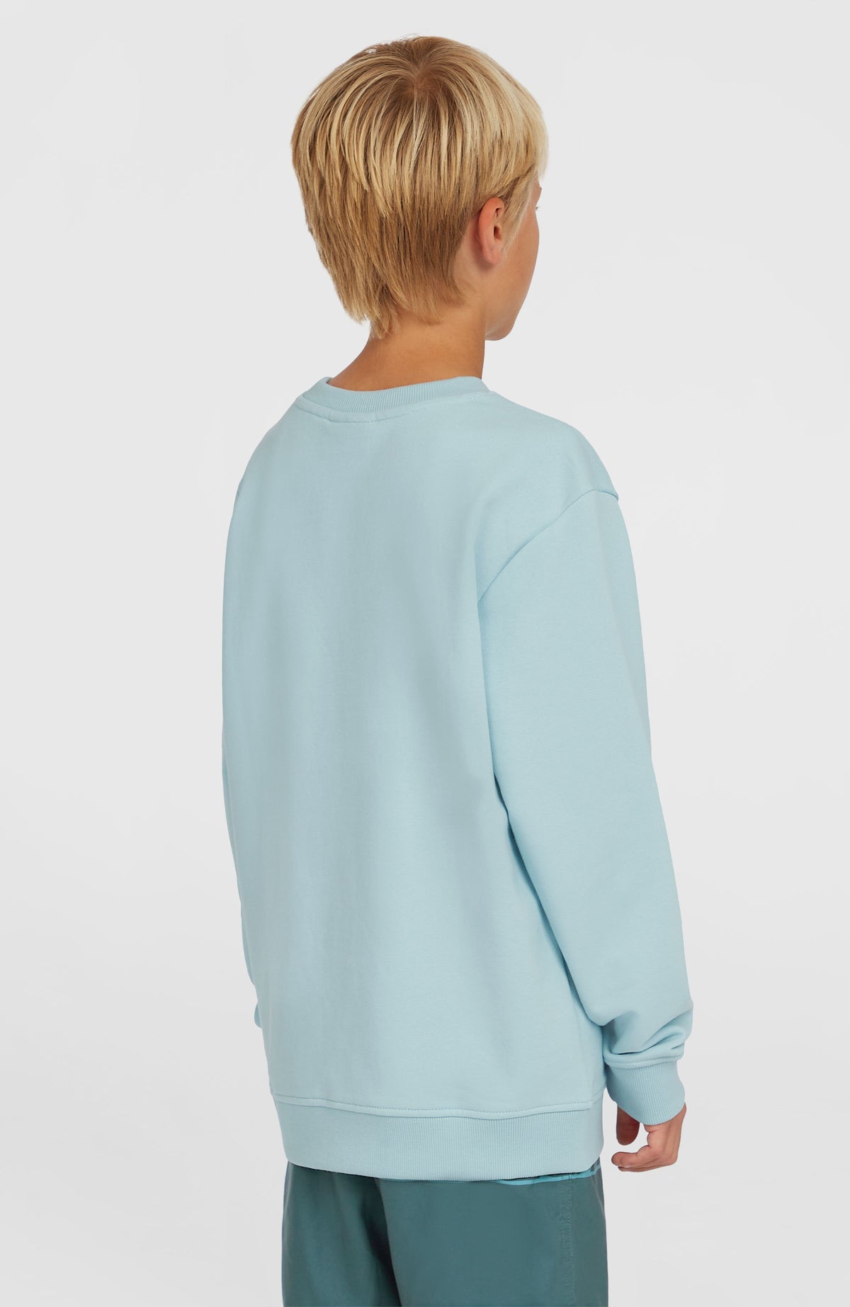 Logo Crew Sweatshirt | Morning Glory
