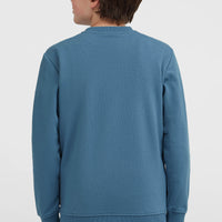 Essentials Crew Sweatshirt | Mozart Blue