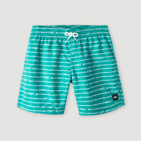 All Year 14 | Sea Green Boys First In