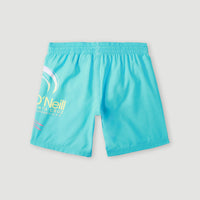 Circle Surfer 14'' Swim Shorts | Blue Circle Surfer gradient