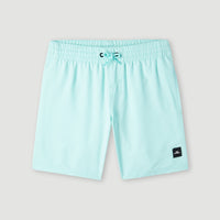 Future Surf Society 14'' Swim Shorts | Beach Glass