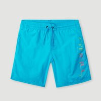Cali Melting 14'' Swim Shorts | Bachelor Button