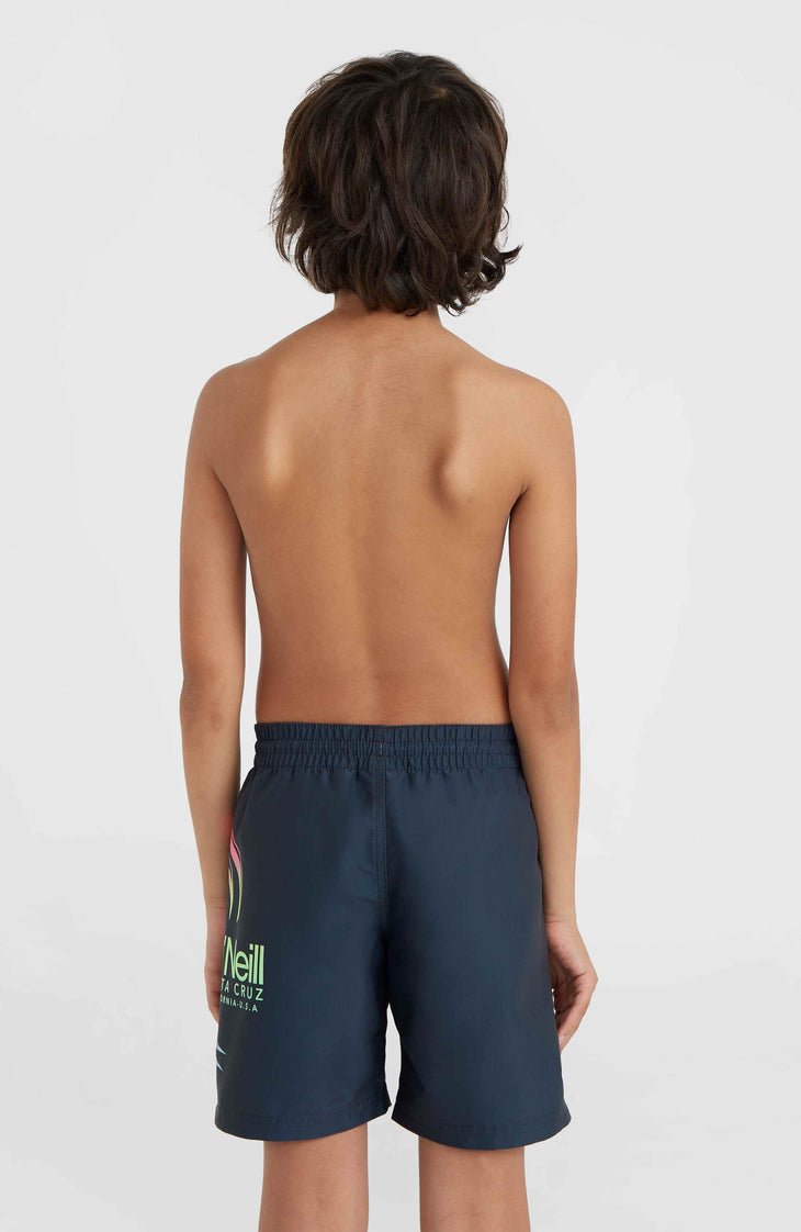 Circle Surfer 14'' Swim Shorts | Outer Space Circle Surfer Grandient Panel