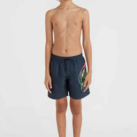 Circle Surfer 14'' Swim Shorts | Outer Space Circle Surfer Grandient Panel