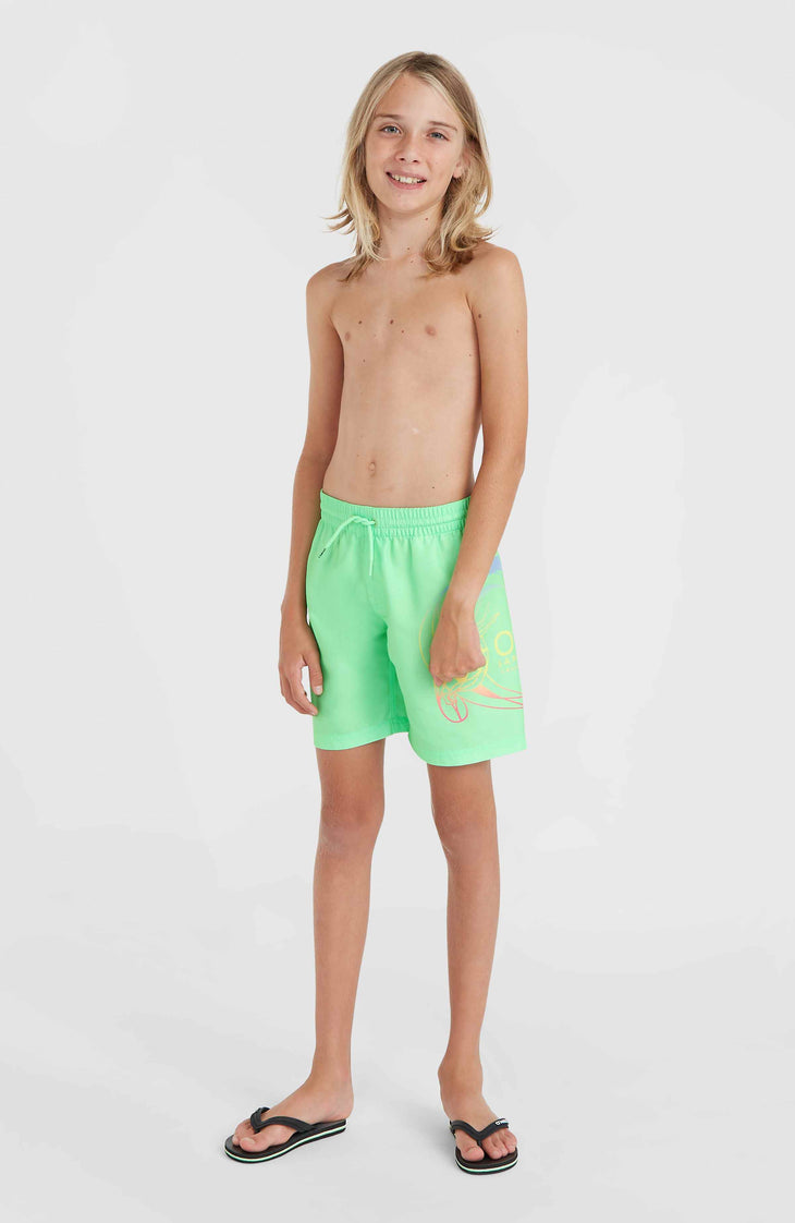 Circle Surfer 14'' Swim Shorts | Neon Green Circle Surfer Gradient Panel